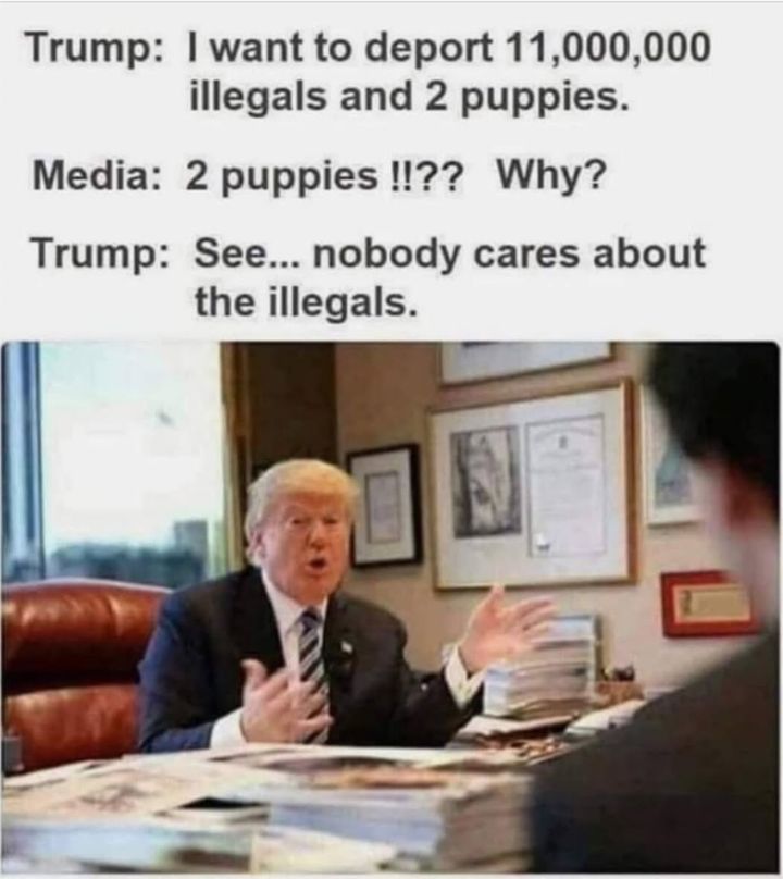 202501266516198